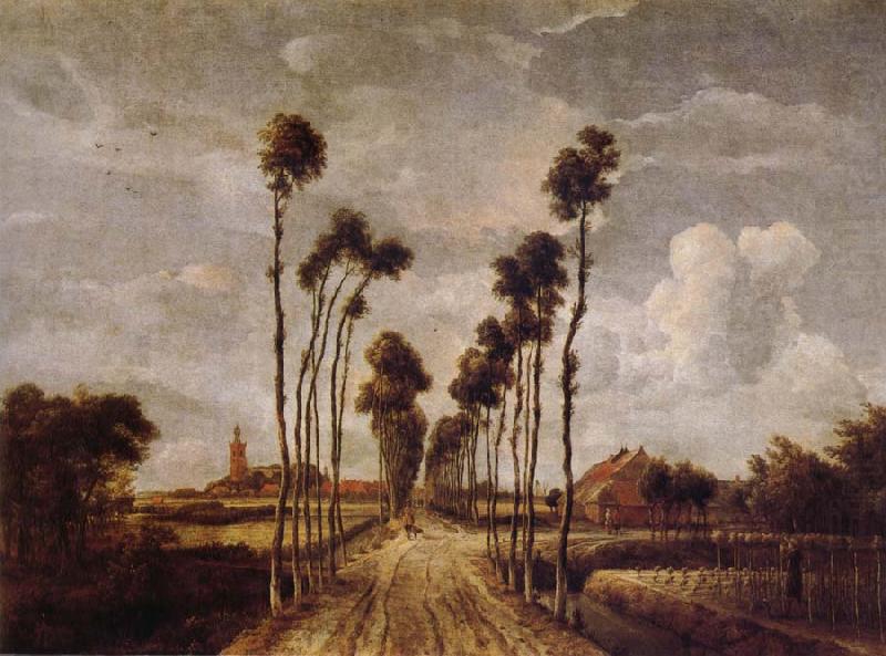 Meindert Hobbema Avenue at Middelharnis china oil painting image